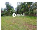 Lands For Sale In EHELIYAGODA